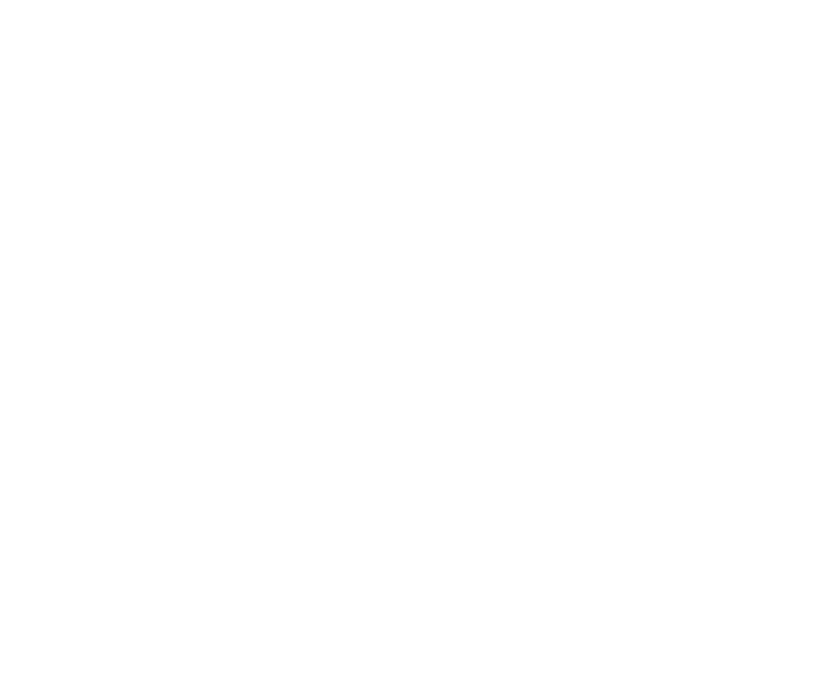 NAPA Logo White.